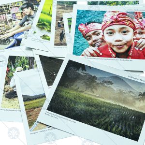 Scenes of Indonesia Postcard Set